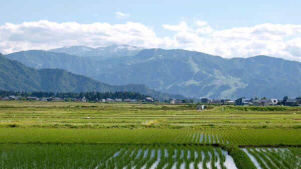 「誰かの役に立ちたい」を仕事にする。地方転職という選択肢