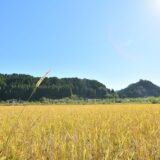 農業×転職で始まる、地域と共にある生き方