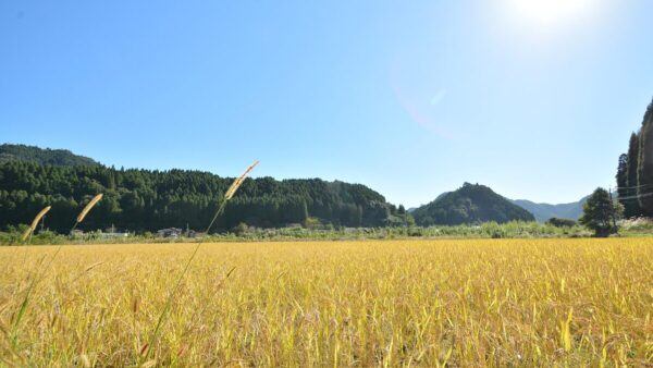 農業×転職で始まる、地域と共にある生き方