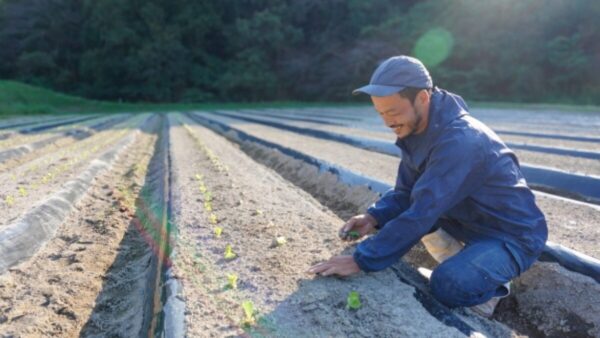 農業に興味がある人必見！“農業に携わる”新しい働き方